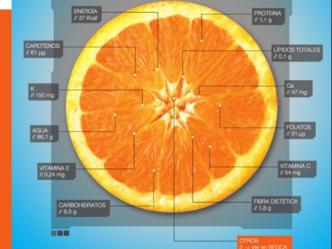 Sanidad presenta una base de datos con información nutricional sobre los alimentos Sanidad presenta una base de datos con información nutricional sobre los alimentos