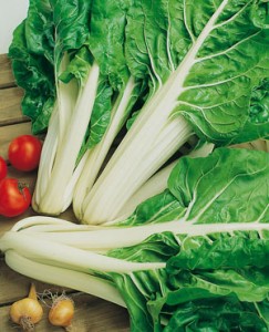 Cinco alimentos que no pueden faltar en tu dieta Cinco alimentos que no pueden faltar en tu dieta