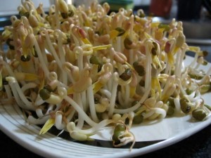 Germinados, concentrado de nutrientes Germinados, concentrado de nutrientes