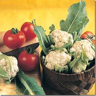 cuantas calorias se deben consumir para bajar de peso rapido cuantas calorias se deben consumir para bajar de peso rapido