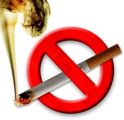 En el DÃa Mundial sin Tabaco, cambia cigarrillos por fruta En el DÃa Mundial sin Tabaco, cambia cigarrillos por fruta