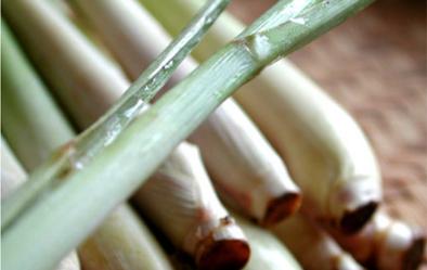 Hierba limón: ¿Una aspirina natural?