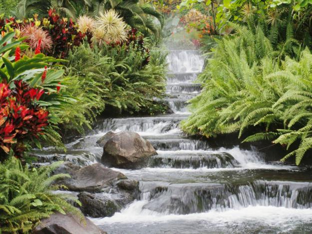 Dale armonía a tu vida con Feng Shui