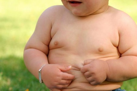 Lucha contra la obesidad y el sobrepeso Lucha contra la obesidad y el sobrepeso