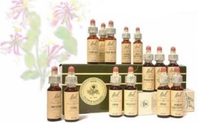Terapia con flores de bach Terapia con flores de bach