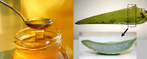 Cremas naturales humectantes y exfoliantes para todo tipo de piel