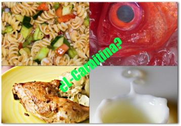 Adivina adivinanza: ¿qué alimento no tiene L-carnitina? Adivina adivinanza: ¿qué alimento no tiene L-carnitina?