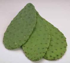 Nopal, ¿disminuye la absorción de grasas?