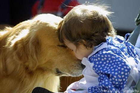 pets-and-babies-4