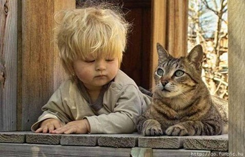 pets-and-babies-7