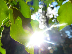 Disfruta de unas vacaciones saludables Disfruta de unas vacaciones saludables