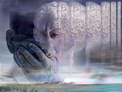 En Chile realizan una avance en la lucha contra el Alzheimer En Chile realizan una avance en la lucha contra el Alzheimer