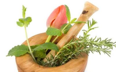 Hierbas medicinales para el riñón Hierbas medicinales para el riñón