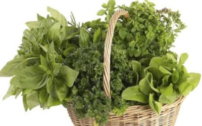Plantas naturales para adelgazar