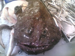 Rape, pescado de Navidad Rape, pescado de Navidad