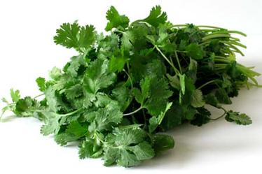 Propiedades del cilantro