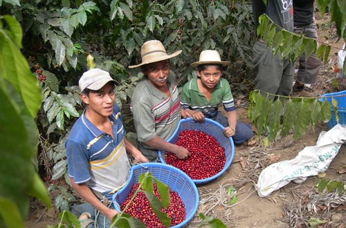 Fair-trade-2