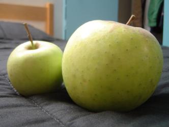 Beneficios de la manzana