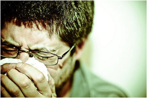 Combatir la gripe desde la alimentación