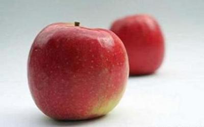 Dieta de la manzana manzana3.jpg