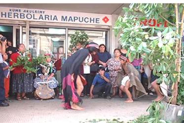 Farmacias de medicina mapuche en Chile