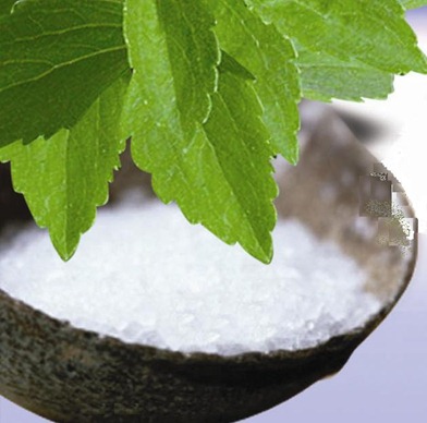 stevia_rebaudiana