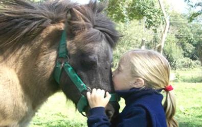 Equinoterapia para niños autistas Equinoterapia para niños autistas