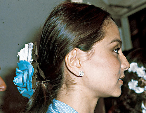 perfil-isabel_preysler