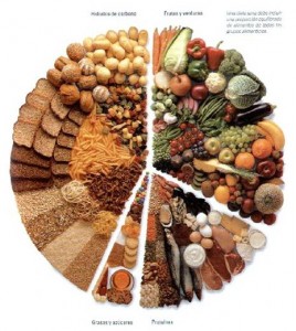 Nutrientes necesarios en la dieta equilibrada Nutrientes necesarios en la dieta equilibrada