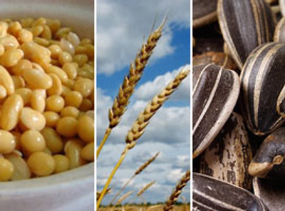 Beneficios de consumir fibras Beneficios de consumir fibras