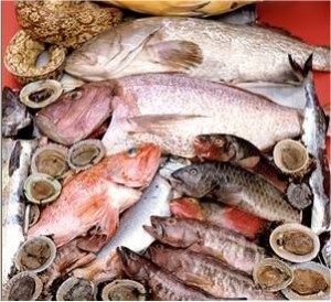 Nutrientes del pescado en el crecimiento Nutrientes del pescado en el crecimiento