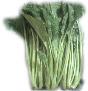 Borraja, diurética y antioxidante Borraja, diurética y antioxidante