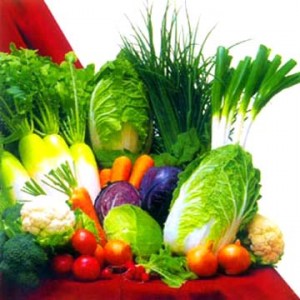 Problemas del vegetariano con los nutrientes