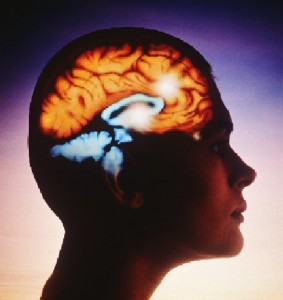 El Omega-3 en la dieta equilibrada