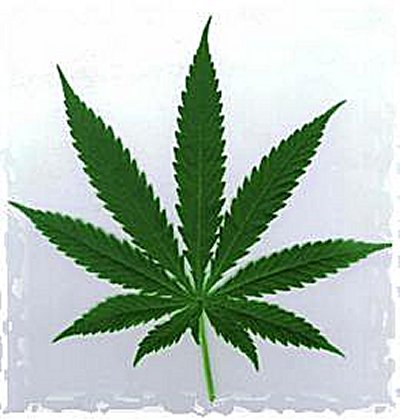 El cannabis puede tener propiedades anticancerígenas