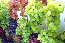 ¿Por qué incluir uvas en tu dieta?