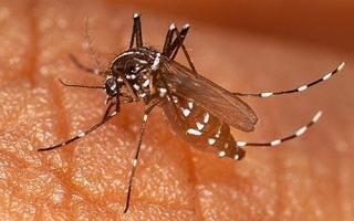 Calcetines sucios para luchar contra la malaria