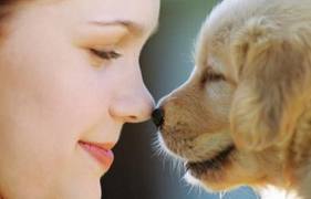 Tener una mascota nos ayuda a eliminar el estrés Tener una mascota nos ayuda a eliminar el estrés