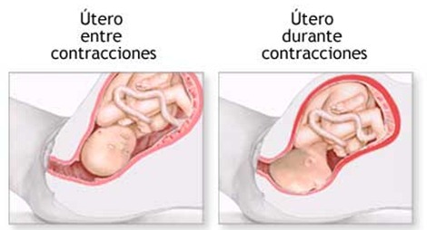 2346597754_b8c67b2a9d_o