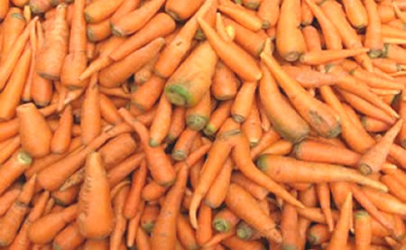 Propiedades nutritivas de la zanahoria