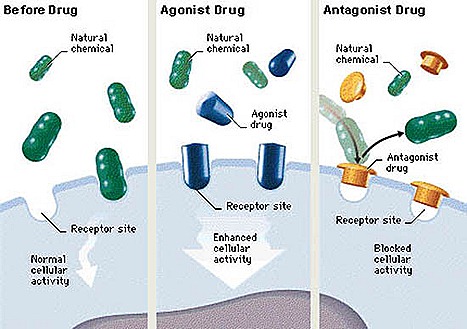 7.14 Medication Function 550