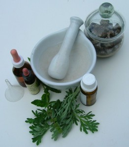 Plantas medicinales para la inapetencia