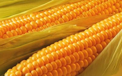 Beneficios del maíz