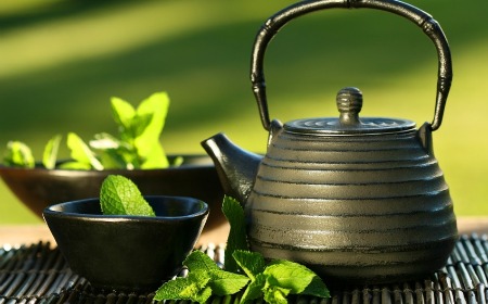 ¿Por qué beber té verde? - Parte II