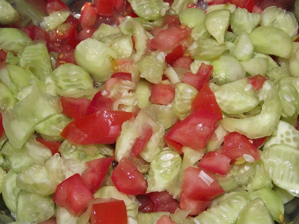 DSCF2717 recetas Pepinos Españoles Rellenos