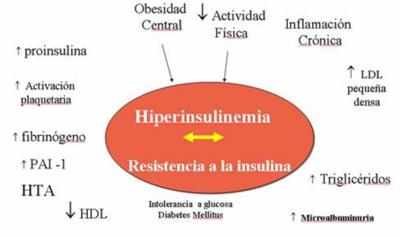 resistencia a la insulina