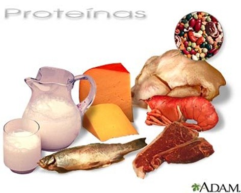 Alimentacion Menopausia| comer proteinas