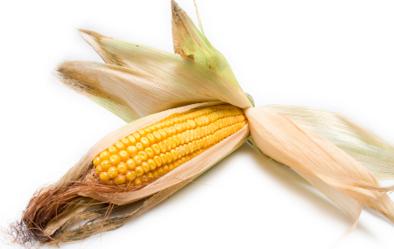 Los beneficios del maíz para la salud