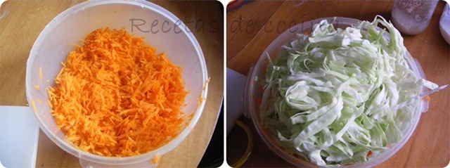 DSCF5106 Ensalada de col y zanahoria