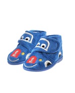 z_000000000433676005_001